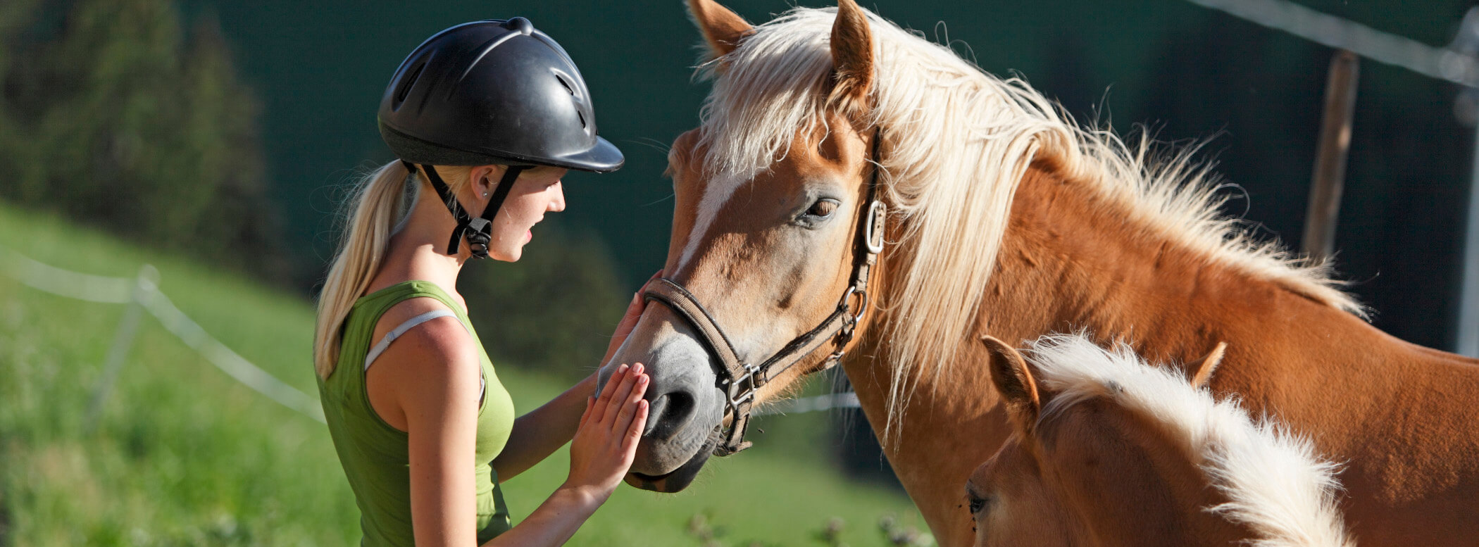 Reiterhof Oberfahrerhof